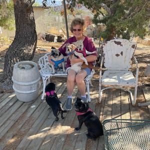 Meet your Posher, Sherry